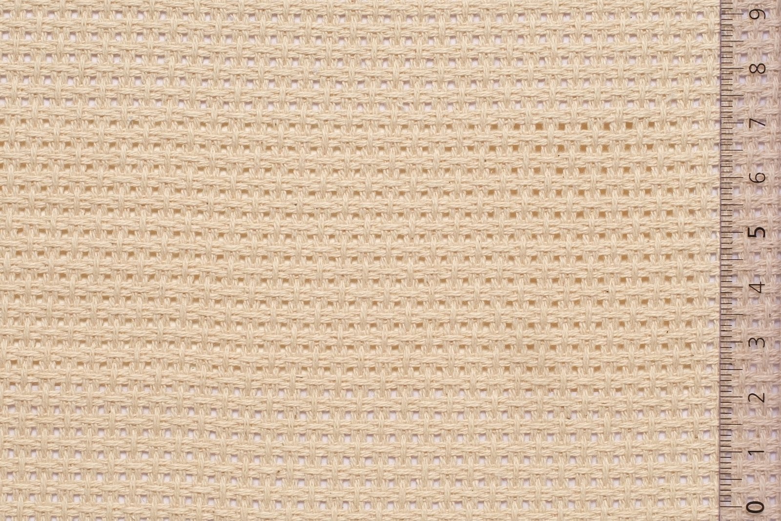 06BIA24BEIxxxCOT[BIANCA 24](BEIGE)F